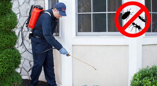 Savaştepe Böcek ve Haşere İlaçlama böcek ilaçlama ve haşere kontrolü — ilaclama-tr.com